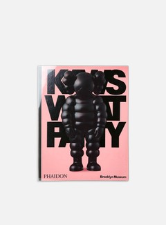 Phaidon Kaws: What Party