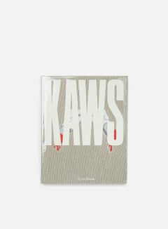 Rizzoli New York Kaws